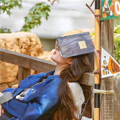 西部骑士